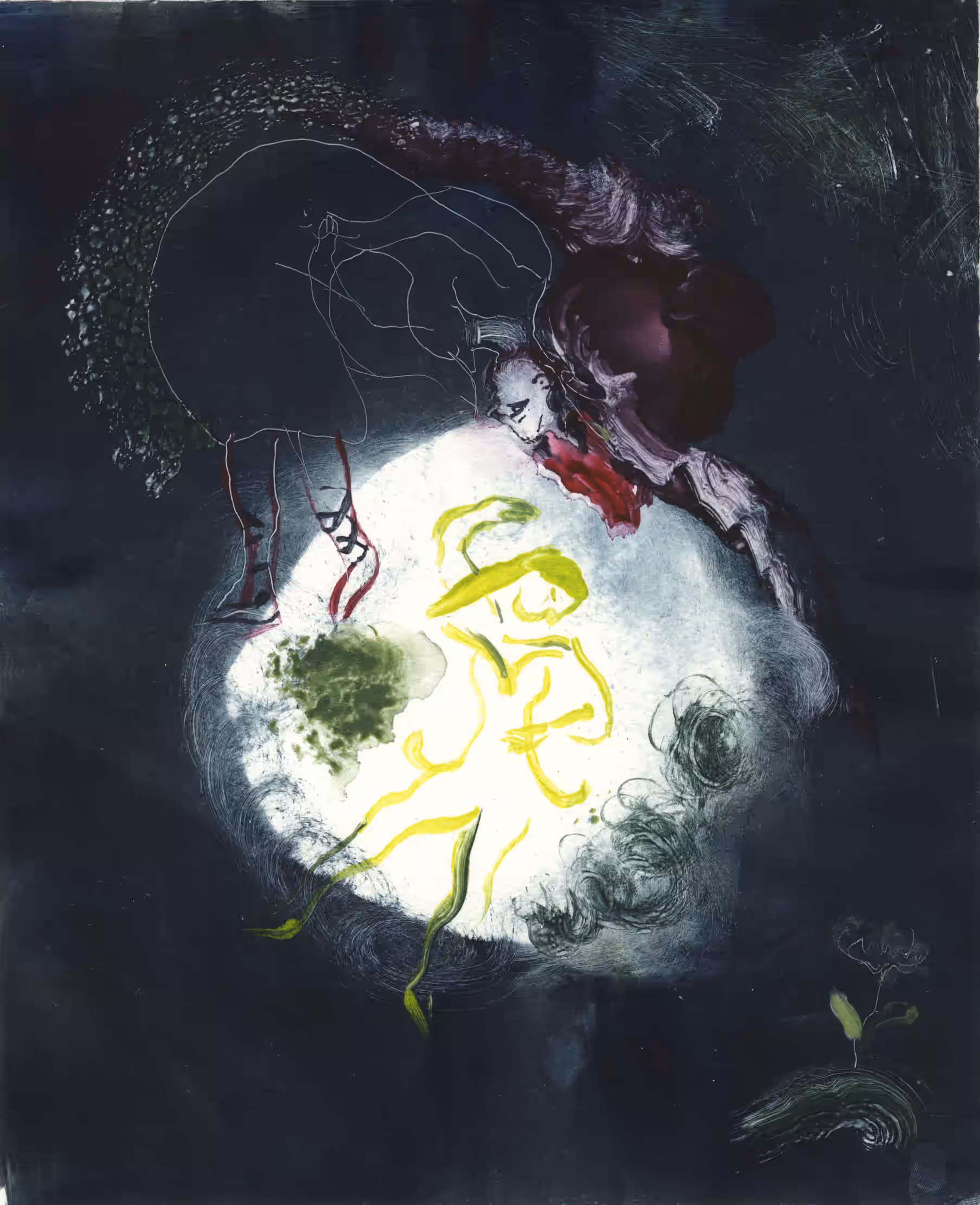 La Danceuse de Nuit